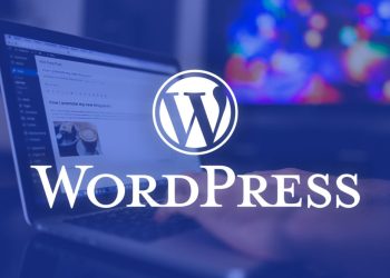 Empowering the Web: The Triumph of WordPress